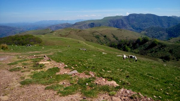 Le plateau d'Artzamendi