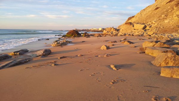 Le chemin du littoral